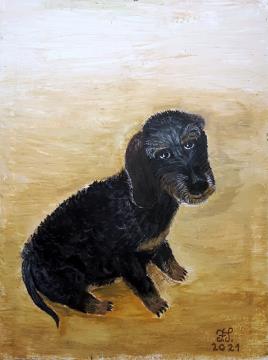 Naš kuža Igo (Akril - 2021) - Franc Smrkolj